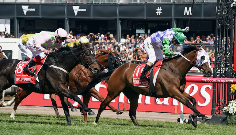melbourne cup odds betting
